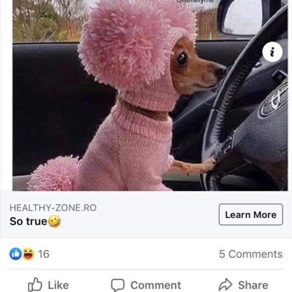 mazdamanor